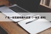 广东一枝花麻将图片欣赏（一枝花 麻将）