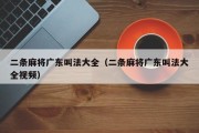 二条麻将广东叫法大全（二条麻将广东叫法大全视频）