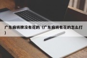 广东麻将牌没有花的（广东麻将有花的怎么打）