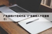 广东麻将8个花叫什么（广东麻将八个花是哪个）