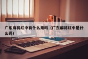 广东麻将红中有什么用吗（广东麻将红中是什么码）