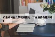 广东麻将有几朵花啊图片（广东麻将有花牌吗）