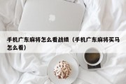 手机广东麻将怎么看战绩（手机广东麻将买马怎么看）