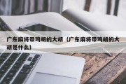 广东麻将带鸡胡的大胡（广东麻将带鸡胡的大胡是什么）
