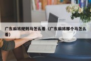 广东麻将规则马怎么看（广东麻将那个马怎么看）