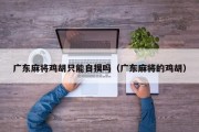 广东麻将鸡胡只能自摸吗（广东麻将的鸡胡）
