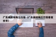 广东麻将有梅兰竹菊（广东麻将梅兰竹菊春夏秋冬）