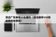 清远广东麻将13幺图片（清远麻将100张胡牌所有牌型）