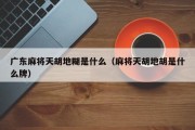 广东麻将天胡地糊是什么（麻将天胡地胡是什么牌）