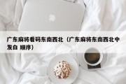 广东麻将看码东南西北（广东麻将东南西北中发白 顺序）